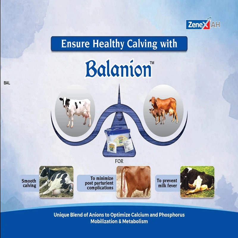 Balanion POWDER 1KG