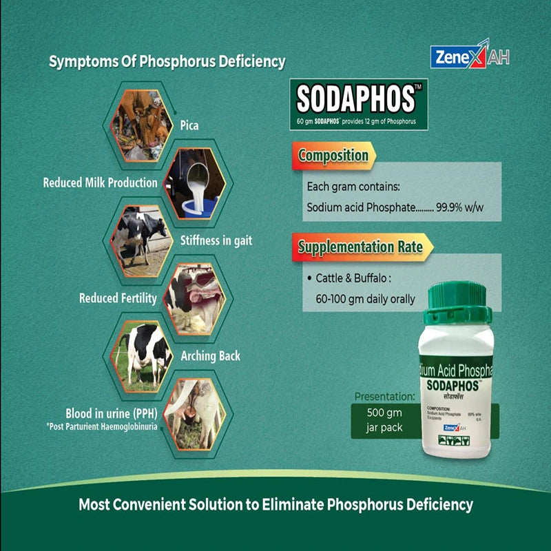 SODAPHOS POWDER 500GM