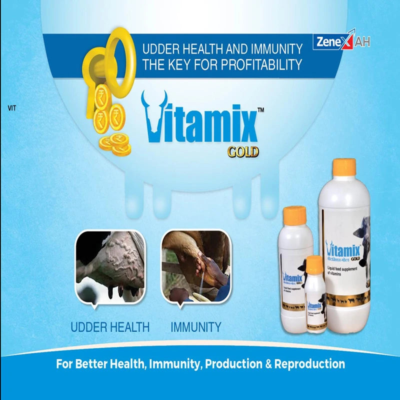 Vitamix GOLD LIQUID 1L