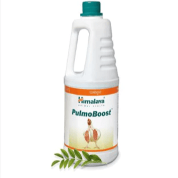 Pulmoboost (1L)  Relief from respiratory diseases